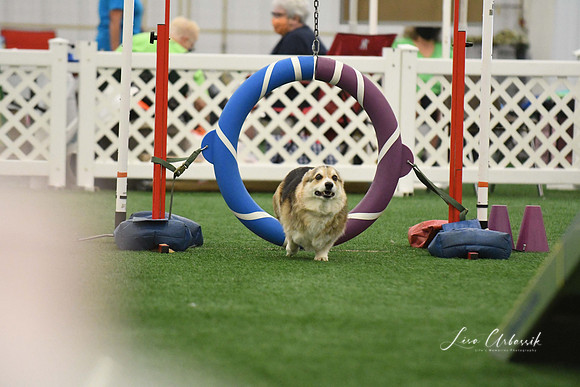DigitalDSC_0217