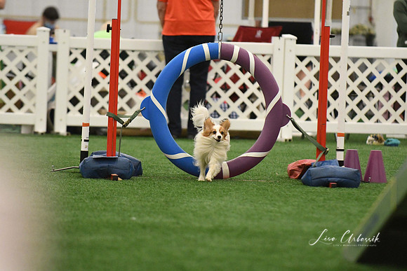 DigitalDSC_0297
