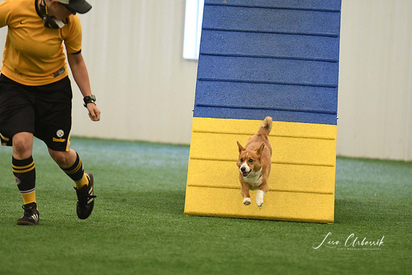DigitalDSC_0316