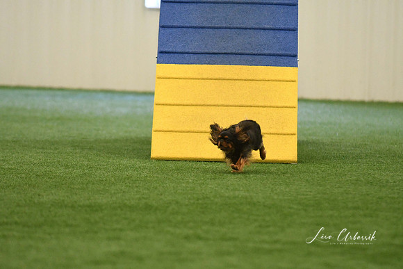 DigitalDSC_0306