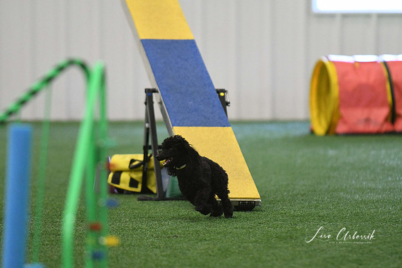 DigitalDSC_0269
