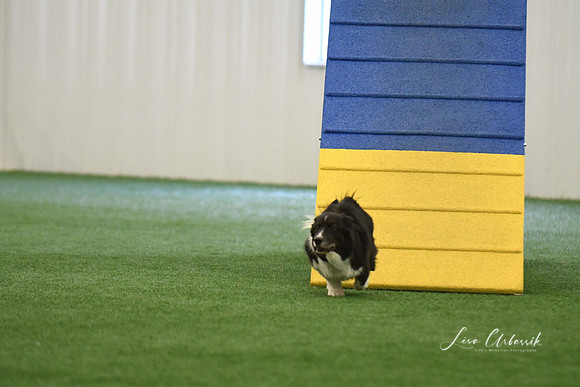 DigitalDSC_0224