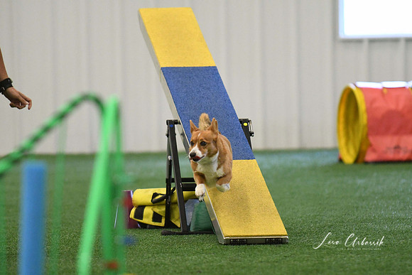 DigitalDSC_0324