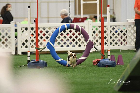 DigitalDSC_0181