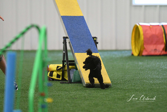 DigitalDSC_0268