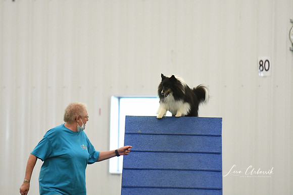 DigitalDSC_0271