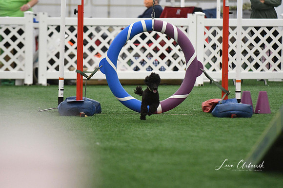 DigitalDSC_0259