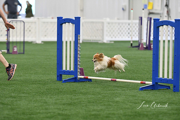 DigitalDSC_0165