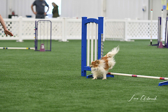 DigitalDSC_0166