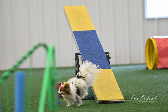 DigitalDSC_0302