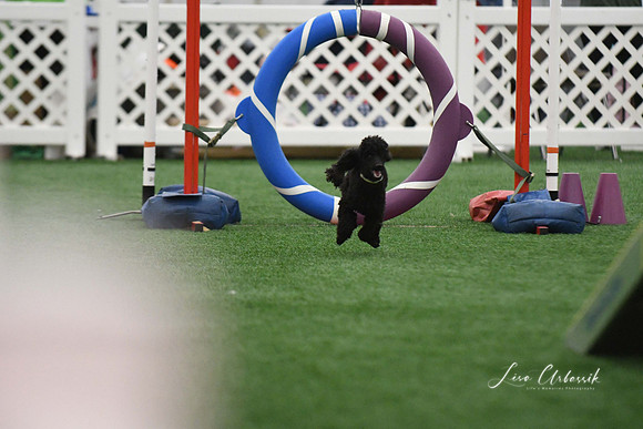 DigitalDSC_0260