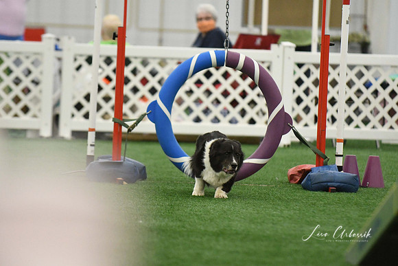 DigitalDSC_0227