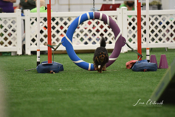 DigitalDSC_0308