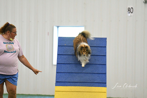 DigitalDSC_0352