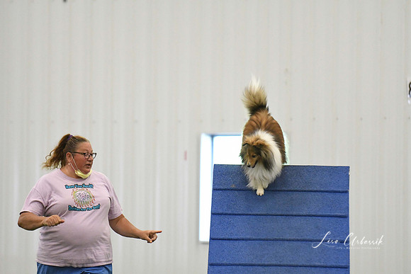 DigitalDSC_0347
