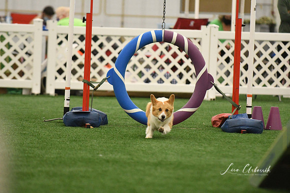 DigitalDSC_0327