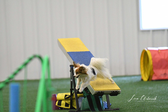 DigitalDSC_0301
