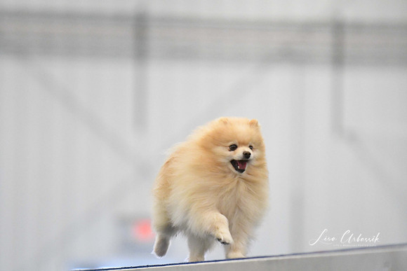 DigitalDSC_0342