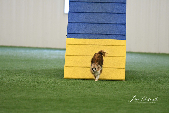 DigitalDSC_0194