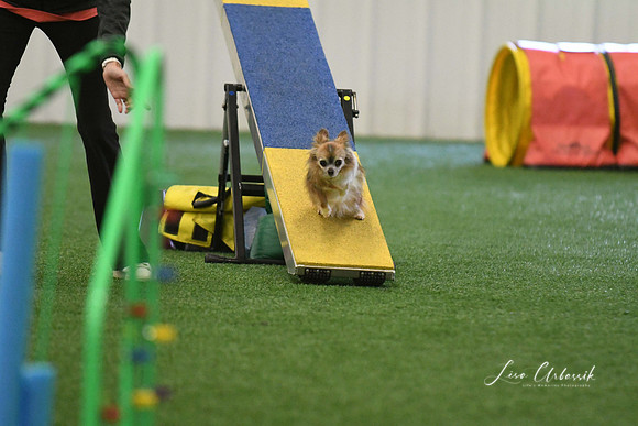 DigitalDSC_0201