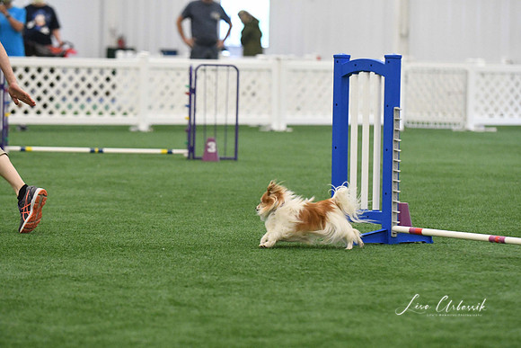 DigitalDSC_0167