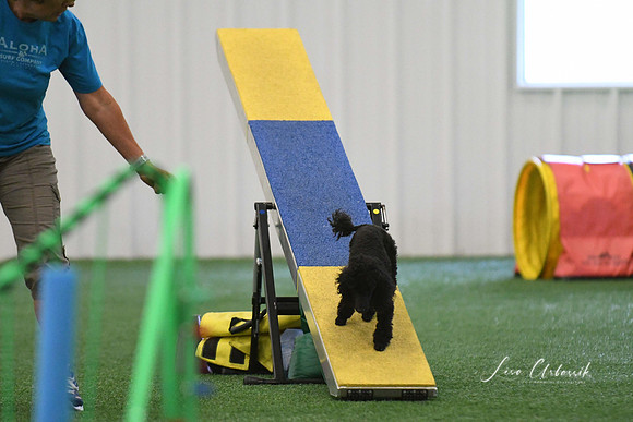 DigitalDSC_0266