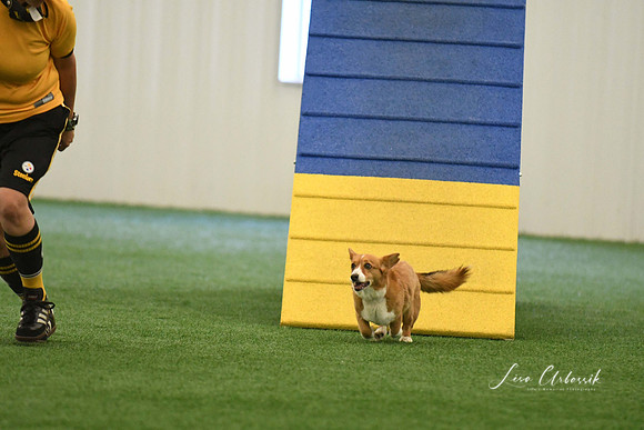 DigitalDSC_0317