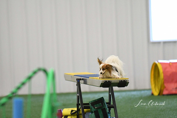 DigitalDSC_0300
