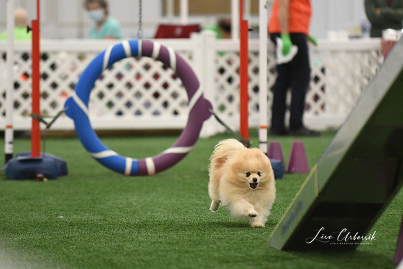 DigitalDSC_0340