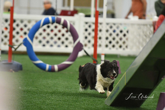 DigitalDSC_0229