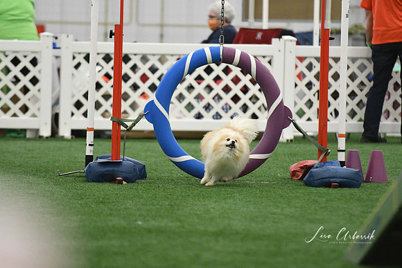 DigitalDSC_0243
