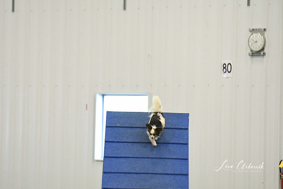 DigitalDSC_0177
