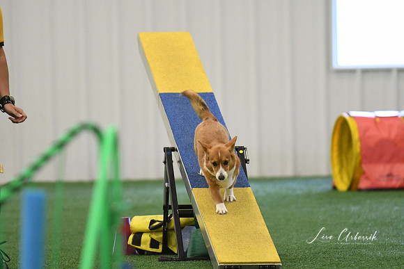 DigitalDSC_0322