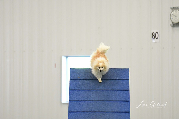 DigitalDSC_0238