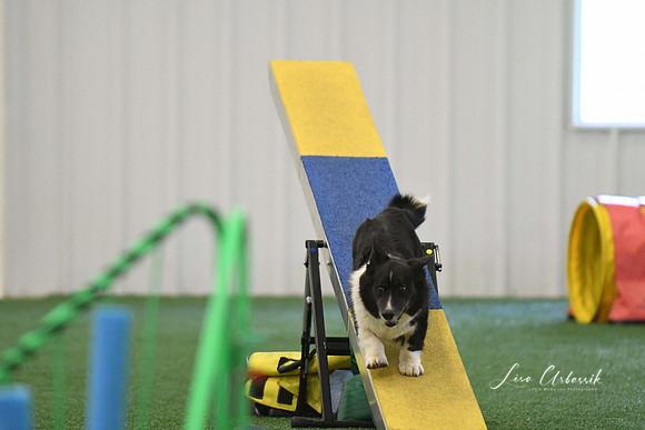 DigitalDSC_0235
