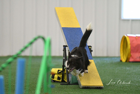 DigitalDSC_0236