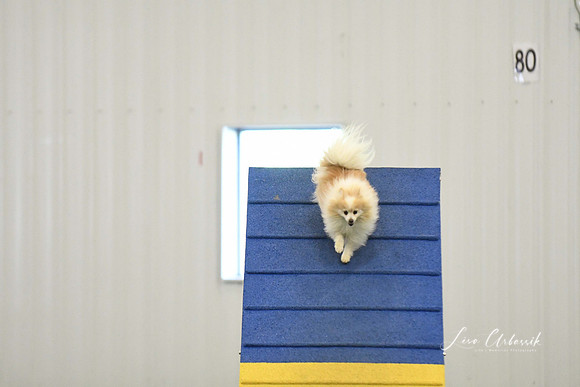 DigitalDSC_0239