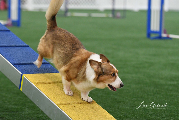 DigitalDSC_0207