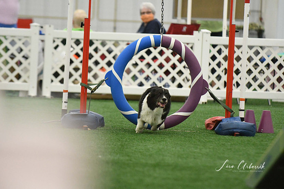 DigitalDSC_0226