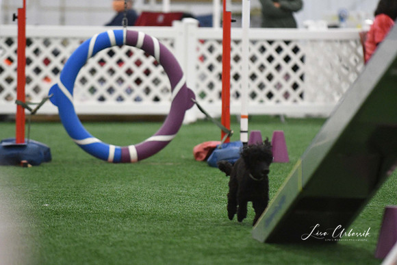 DigitalDSC_0261