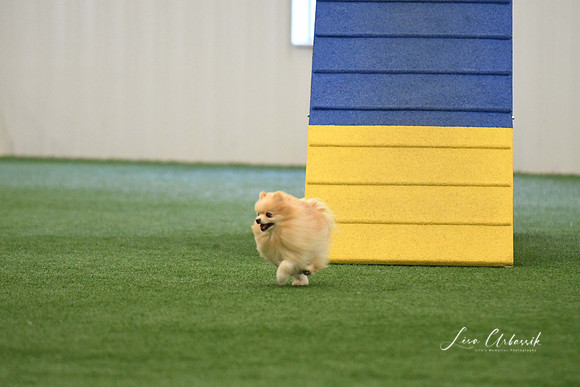 DigitalDSC_0338