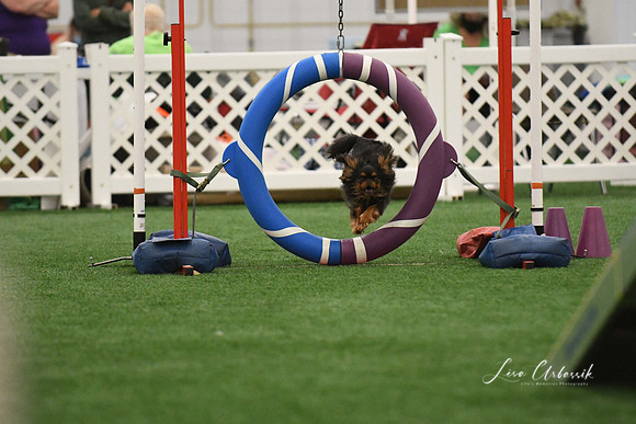 DigitalDSC_0307