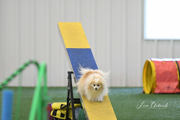 DigitalDSC_0254