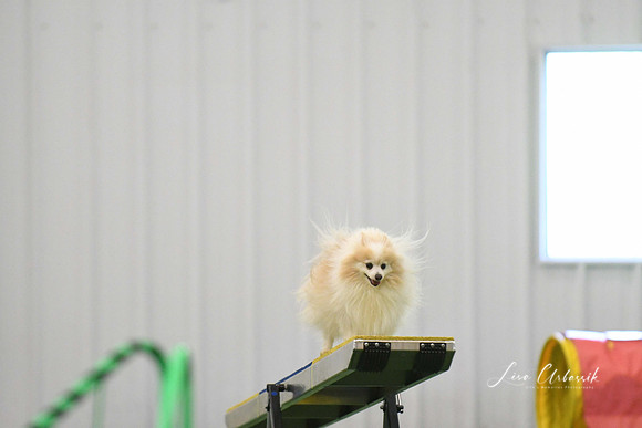 DigitalDSC_0251