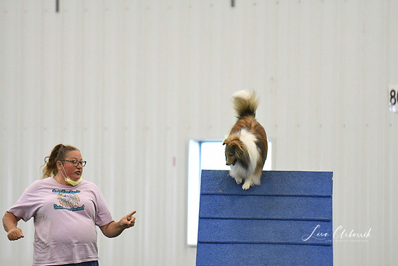 DigitalDSC_0346