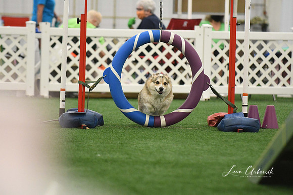 DigitalDSC_0216