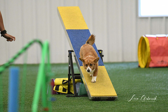 DigitalDSC_0323