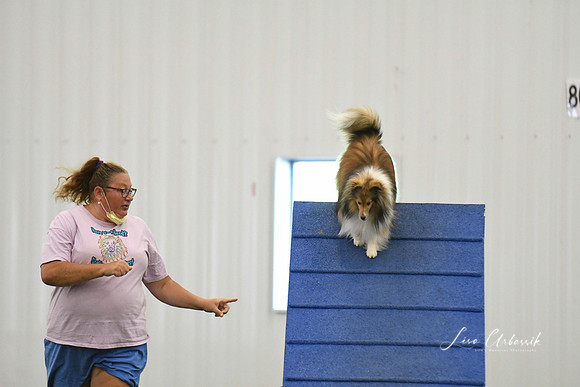 DigitalDSC_0348