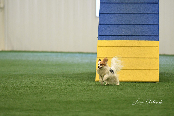 DigitalDSC_0295