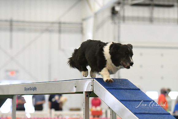 DigitalDSC_0232